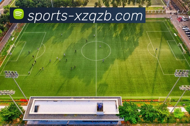 App Interface Preview