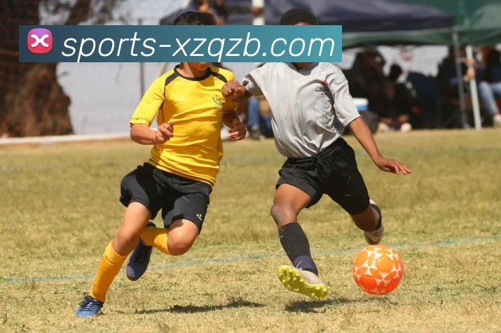 新足球直播APP 封面图